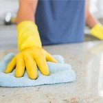 Zep All-Purpose Heavy Duty Cleaner - 1 Gallon