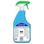 All-Purpose Bleach Cleaner, 32 oz Trigger Spray