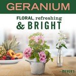Mrs. Meyer's Clean Day Geranium Hand Soap - 3 Pack