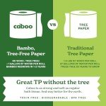 Eco-Friendly Tree Free Toilet Paper - 24 Rolls