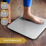 Digital Bathroom Scale – Accurate, Up to 400 lbs