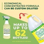 Simple Green Lemon Scent All-Purpose Cleaner Concentrate
