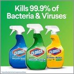 Clorox All-Purpose Cleaner with Bleach Spray, 24 oz