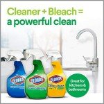 Clorox All-Purpose Cleaner with Bleach Spray, 24 oz