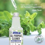 Mighty Mint Non-Toxic All-Purpose Cleaner Spray