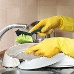 Pine-Sol Long Handle Scrub Brush Set
