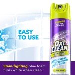 OxiClean Foam-Tastic Cleaner - 19 Oz, Pack of 3