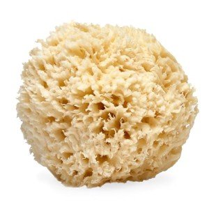 LATHER Natural Sea Wool Sponge - 5-6" Exfoliator