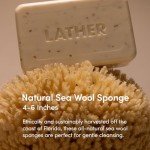 LATHER Natural Sea Wool Sponge - 5-6" Exfoliator