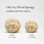 LATHER Natural Sea Wool Sponge - 5-6" Exfoliator