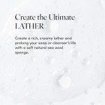 LATHER Natural Sea Wool Sponge - 5-6" Exfoliator