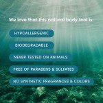 LATHER Natural Sea Wool Sponge - 5-6" Exfoliator