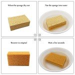Large Eco-Friendly Cleaning Sponge - 6.5" x 4