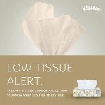Kimberly-Clark Facial Tissue, 125 Sheets, Case of 12
