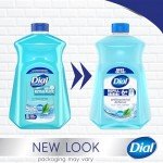 Dial Antibacterial Hand Soap Refill - 3 Packs