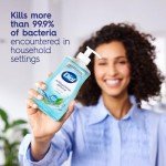 Dial Antibacterial Hand Soap Refill - 3 Packs