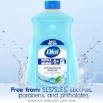 Dial Antibacterial Hand Soap Refill - 3 Packs