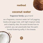 Foaming Hand Wash 10oz – Coconut Water (3 Pack)