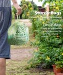 AYOTEE 50-Count Compostable Kitchen Trash Bags