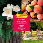 PINALEN 2X Max Floral Delight Cleaner, 56 oz