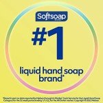 Softsoap Antibacterial Liquid Hand Soap - Citrus, 6 Pack