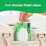 Cottonelle GentlePlus Flushable Wet Wipes, 252 Count