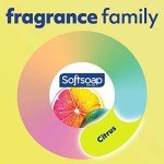 Softsoap Antibacterial Liquid Hand Soap - Citrus, 6 Pack