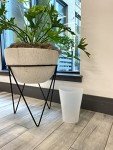 Rubbermaid 2.25 Gallon Clear Vanity Wastebasket