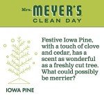 Mrs. Meyer's Iowa Pine Hand Soap, 12.5 Fl Oz