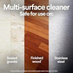 Clorox On-The-Go Disinfecting Wipes, Fresh Scent