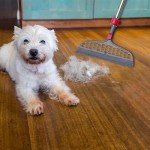 Heavy Duty Spin Mop with Clean Water Compartment