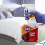 CloroxPro Disinfecting Stain & Odor Remover 32oz