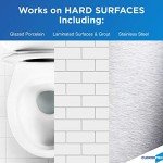 CloroxPro Disinfecting Stain & Odor Remover 32oz