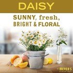 Mrs. Meyer's Clean Day Daisy Multi-Surface Cleaner