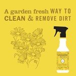 Mrs. Meyer's Clean Day Daisy Multi-Surface Cleaner