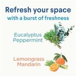 Clorox Lemongrass Mandarin Disinfecting Spray, 16oz