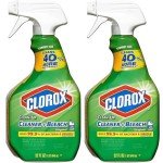 Bleach Spray Cleaner 32oz (2 Pack) - Original Scent