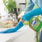 Bleach Spray Cleaner 32oz (2 Pack) - Original Scent