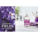 Seventh Generation Lavender Hand Wash 12 Ounce