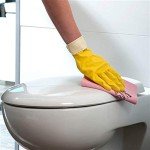 Vileda PVA Microfiber Cloths - Red 5 Pack
