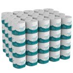 Angel Soft Premium Bathroom Tissue by Georgia Pacific