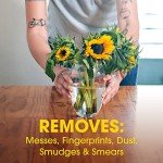 Pledge Wood Wipes, Lemon Scent, 24 Count