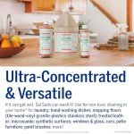 Dr. Bronner's Sal Suds Biodegradable All-Purpose Cleaner