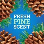 Pine-Sol Multi-Surface Cleaner, 3 Pack, 80 Oz