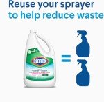 All-Purpose Cleaner with Bleach 64 Fl Oz - 2 Pack