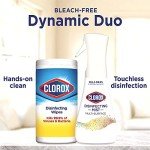 Clorox Lemon & Orange Blossom Cleaning Bundle