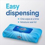 Clorox Lemon & Orange Blossom Cleaning Bundle