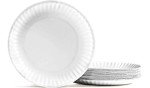 9-Inch Disposable Paper Plates, 1,000-Pack, White