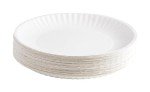9-Inch Disposable Paper Plates, 1,000-Pack, White