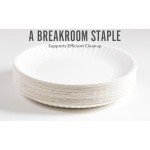 9-Inch Disposable Paper Plates, 1,000-Pack, White